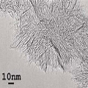 nanohorns à simple paroi en carbone pour les piles à combustible utilisées