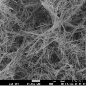 matériaux sensibles utilisés haute actifs nanofils d'oxyde de zinc