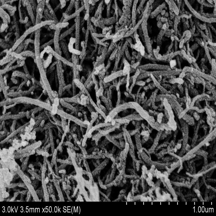 Fonctionnalisation de surface des nanotubes de carbone à parois multiples et applications