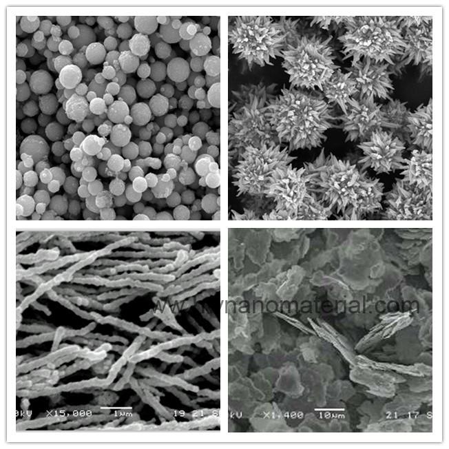 Various morphology nickel powders(spherical,flake,Spiny spherical,nanowires)