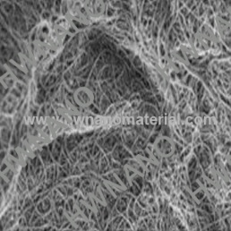 nanotube de carbone à paroi unique biomédical (swcnt)