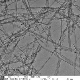 nanotubes d'oxyde de titane