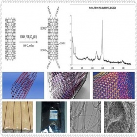 nanotubes de carbone (cnts)