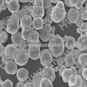 antibiose résistance à l'oxydation ag nanoparticules d'argent