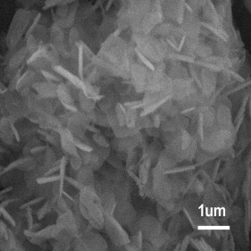 poudres nano et micron hexagonales de nitrure de bore