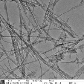 nanotubes d'oxyde de titane avec haute ssa