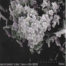 nanotubes d'oxyde de bismuth jaune clair bi2o3