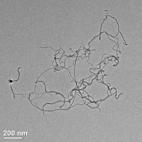 nanotubes de carbone noirs à paroi simple, swcnts pour film conducteur transparent utilisé