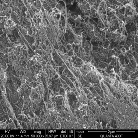 nanotubes de carbone utilisés comme fibres à haute résistance superfine