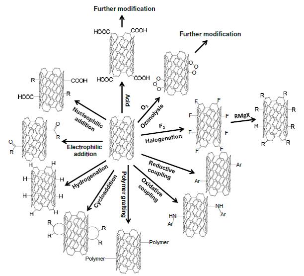 modification fonctionnelle sur la surface des nanotubes de carbone (cnts)