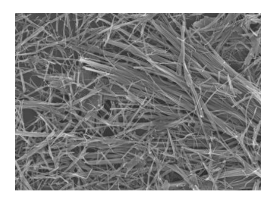 Nanomatériaux de dioxyde de vanadium : un guide complet sur les particules monocliniques, dopées au W et les nanofils