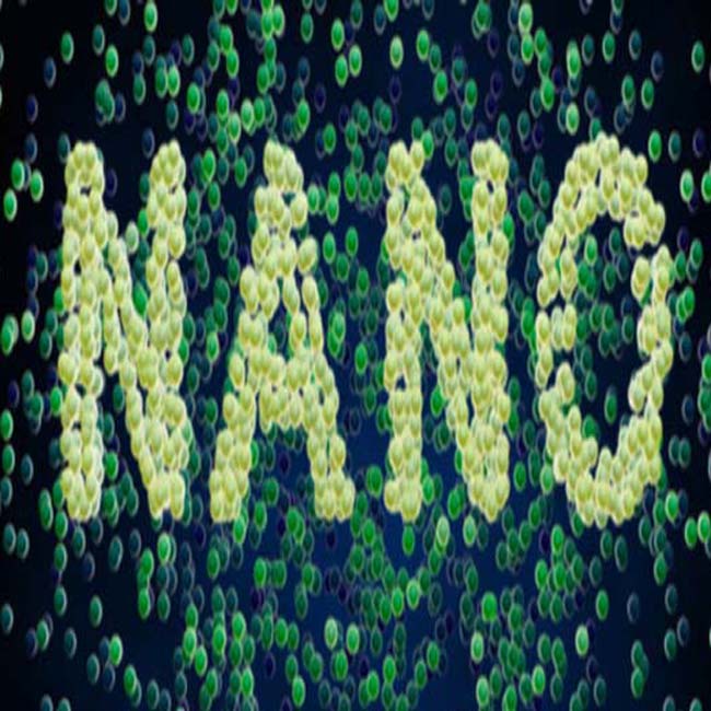 introduction de nanomatériaux magnétiques